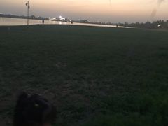 -金沙湖旅游度假区