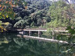 -天明山温泉大酒店