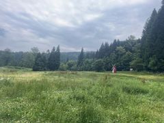 -武陵山森林公园