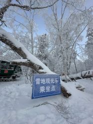-大秃顶子山