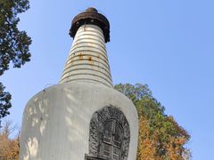 -大觉寺-停车场