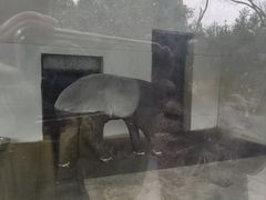 -合肥野生动物园