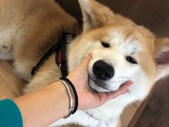 -YCHL Studios健身工作室(市二宫店)