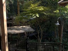 -宁海森林温泉