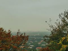 -上海佘山国家森林公园西佘山园