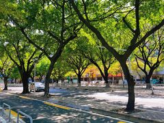 -佛山市图书馆(祖庙路分馆)