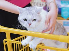 -帕帕拉兹宠物(亚洲旗舰店)