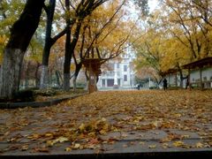 -山东农业大学(岱宗校区)