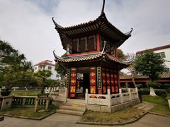 -碧江金楼
