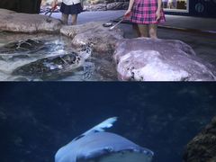 -南昌海洋公园