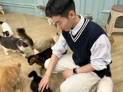 -安格丽娜·狗咖·猫咖羊驼咖(春熙路百盛商场店)