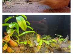 -上海自然博物馆