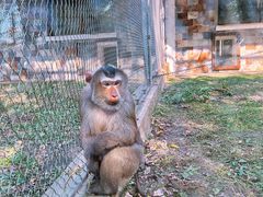 -哈尔滨北方森林动物园