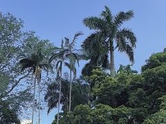 -九龙公园