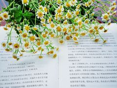 -天津东丽湖风景区