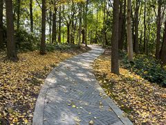 -昆山城市生态森林公园