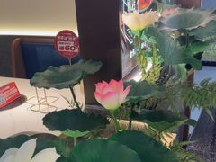 -新辣道鱼火锅(龙旗广场店)
