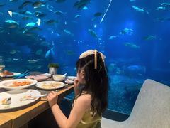 -涛·海底餐厅·美人鱼·自助餐·海底隧道(三亚海棠湾洲际度假酒店)