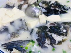 -全乐鱼馆·淳牌有机鱼直营店