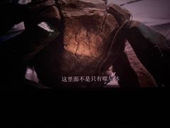 -棕榈MALL