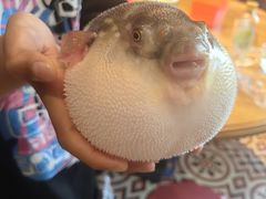 -永安鱼庄·镇江菜(丁卯店)