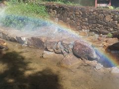 -广州白江湖森林公园