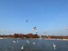 -东湖落雁景区