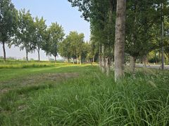 -汉长安城未央宫国家考古遗址公园