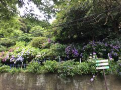 -灌篮高手动画打卡地