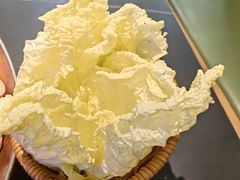 -季季山·云南野生菌火锅(上海首店)