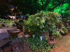 -more than meow吴止猫主题餐厅(承德 中船汇店)