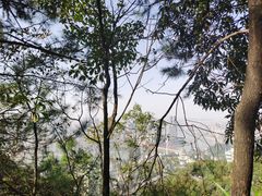 -南山植物园
