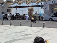 -碧海金沙