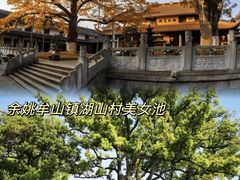-宁波市保国寺古建筑博物馆
