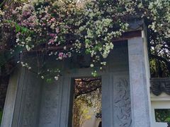 -深圳国际园林花卉博览园