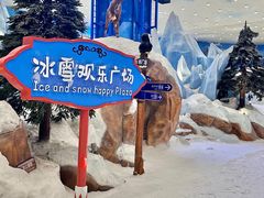 -湘江欢乐城欢乐雪域