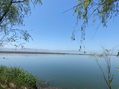 -野鸭湖国家湿地公园