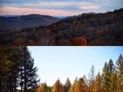 -塞罕坝国家级自然保护区