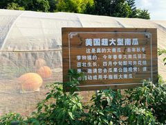 -青青世界