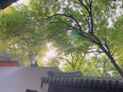-嵩祝寺及智珠寺