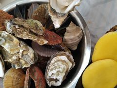 -宾朋海鲜特色美食餐厅·纯手工鲅鱼水饺(兴海路店)