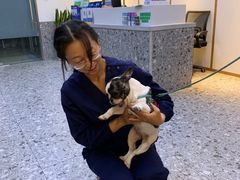 -萌兽医馆·绝育·24小时内科·宠物医院(德胜店)