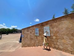 -世界恐龙谷景区