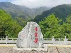 -牛背梁国家森林公园