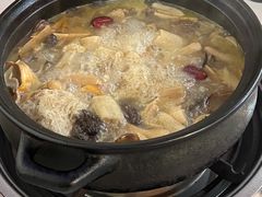 -蘑统田下·野生菌火锅