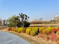 -春花秋色城市公园