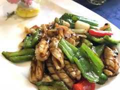 鱿鱼-珍记海鲜酒家(嵩山路店)