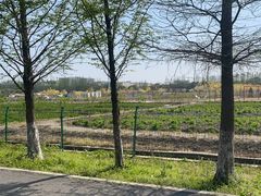 -嘉北郊野公园