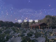 -裕华世纪公园