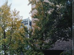 -青枫公园
